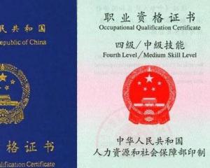 最新保育员证下的温馨日常故事