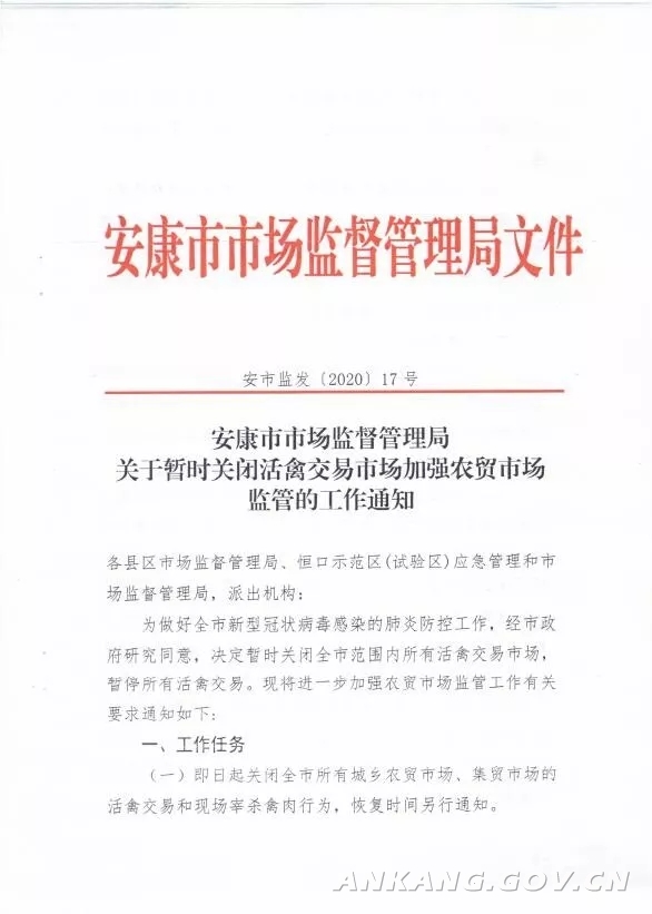 农贸市场最新运营通报，新鲜度、运营状况及未来展望分析