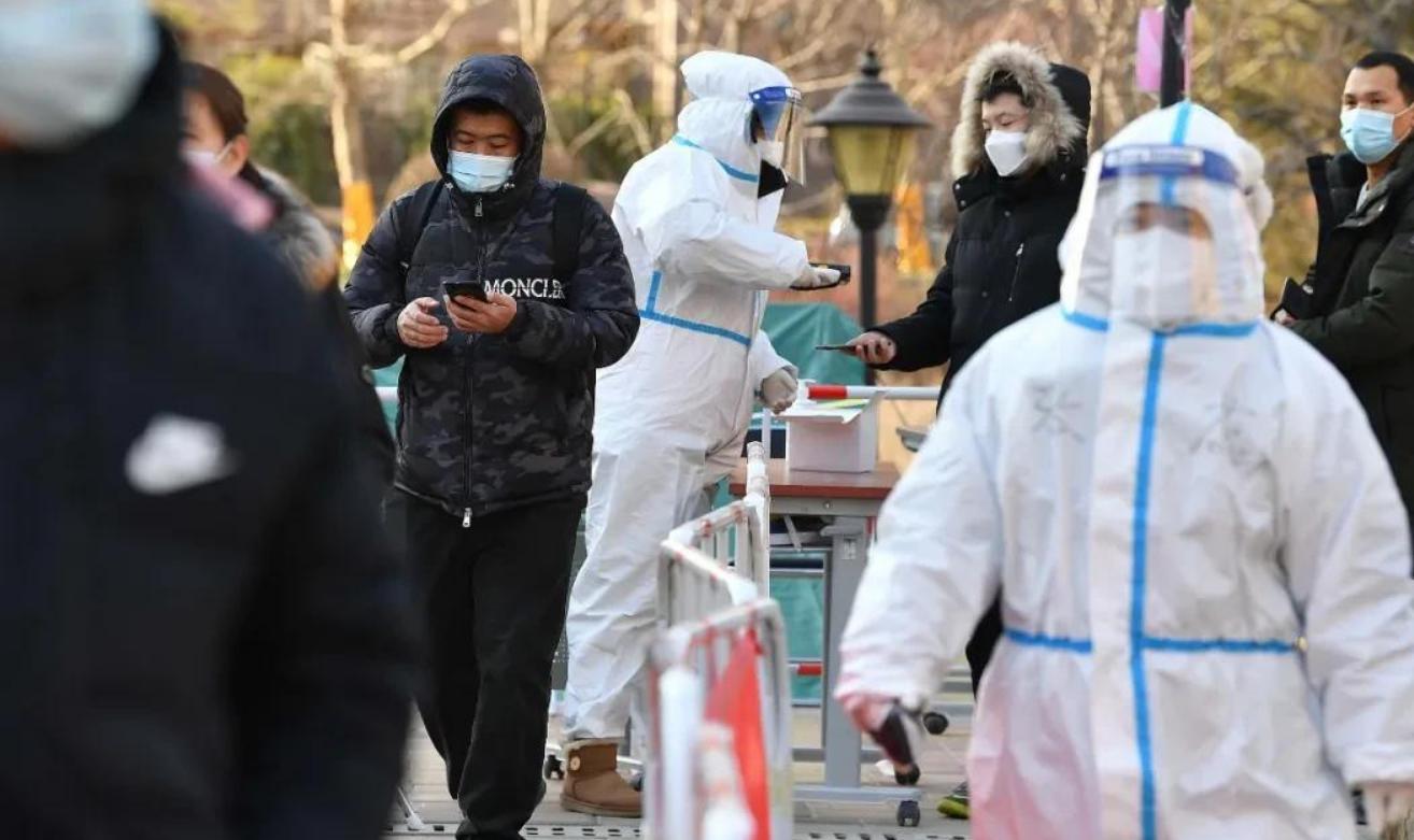 北京疫情最新数据报告，深度分析与观察