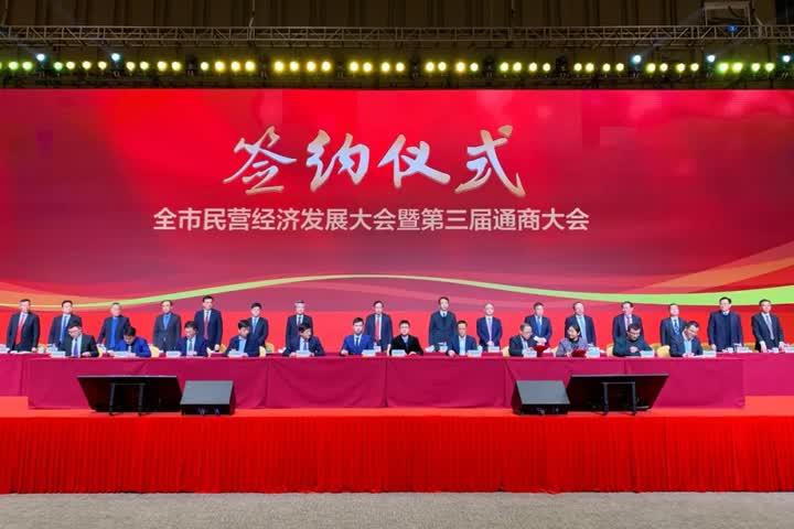 最新企业家政策,最新企业家政策，解析与观点