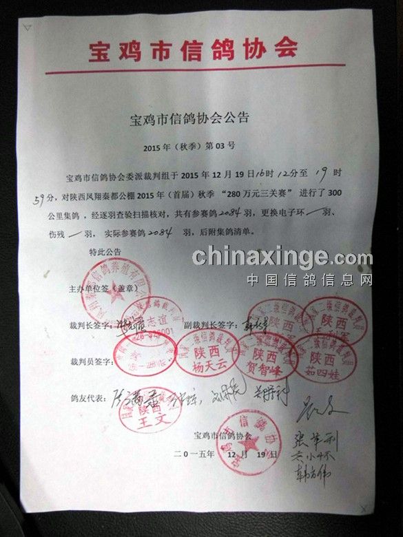“秦都公棚最新动态”,🌟秦都公棚最新动态🌟