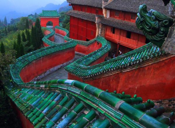 山形建最新，温馨日常故事