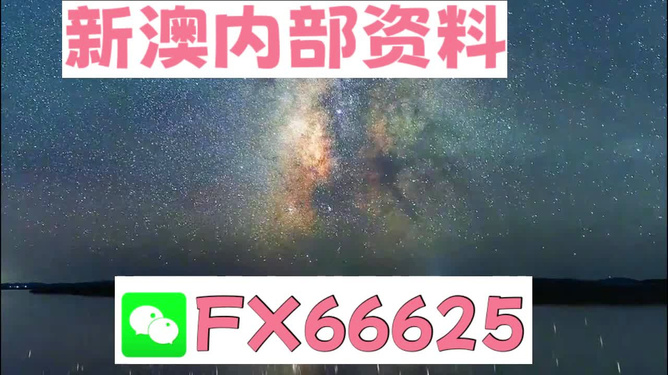2024新澳天天彩免费资料单双中特,高效运行支持_社交版84.506