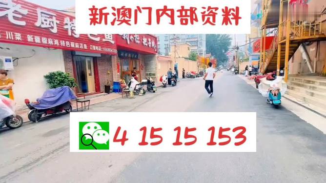 2024新澳门天天开好彩大全正版,数据驱动决策_传承版32.957