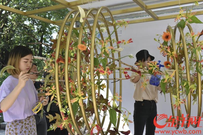 插花比赛作品，美丽绽放与自我成长的力量