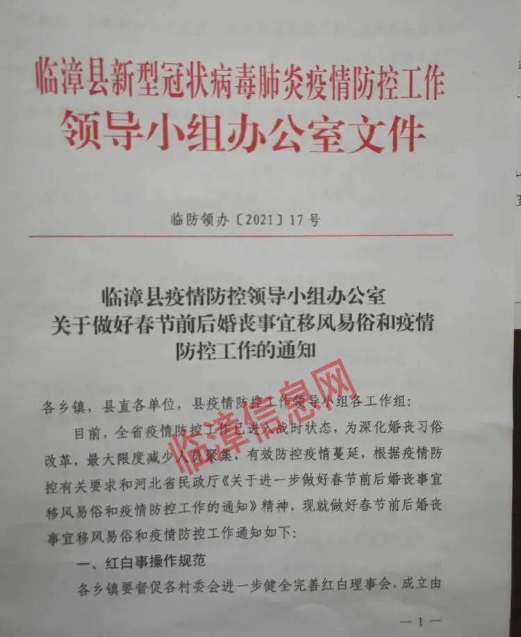 临漳最新疫情通报，小巷深处的独特风味