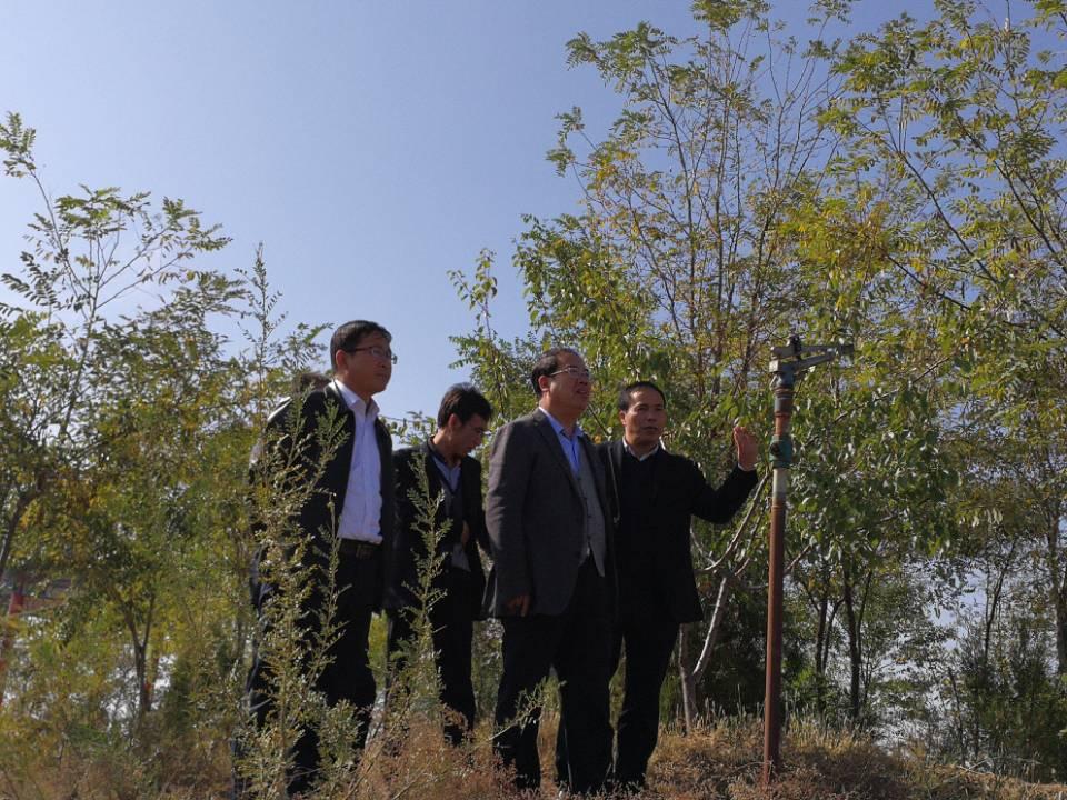 龙泉黄土镇最新规划揭晓，未来蓝图与发展蓝图一览无余