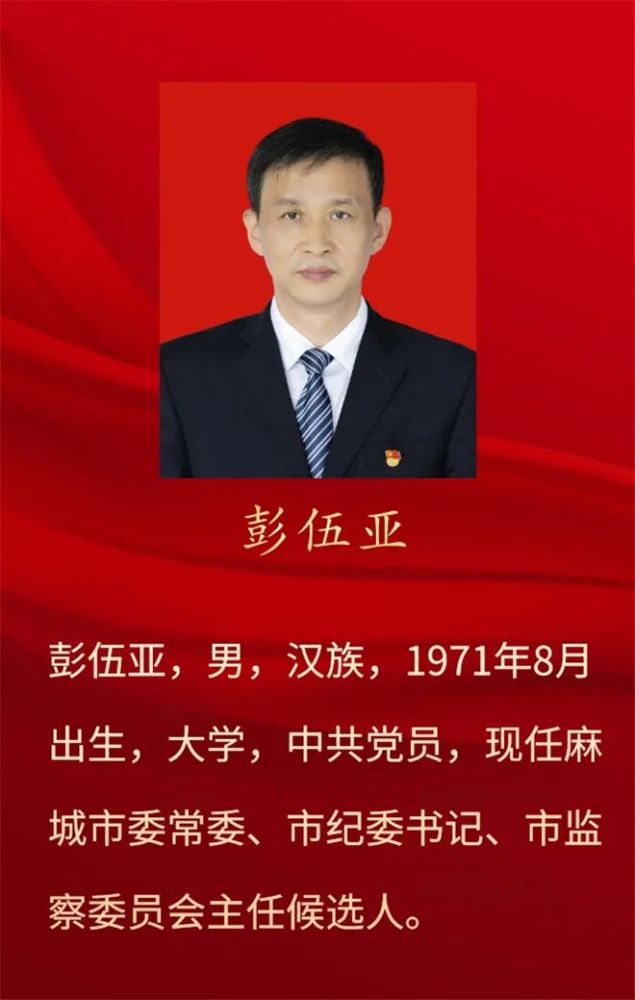 中央新领导班子的友情纽带与日常故事，简历更新回顾