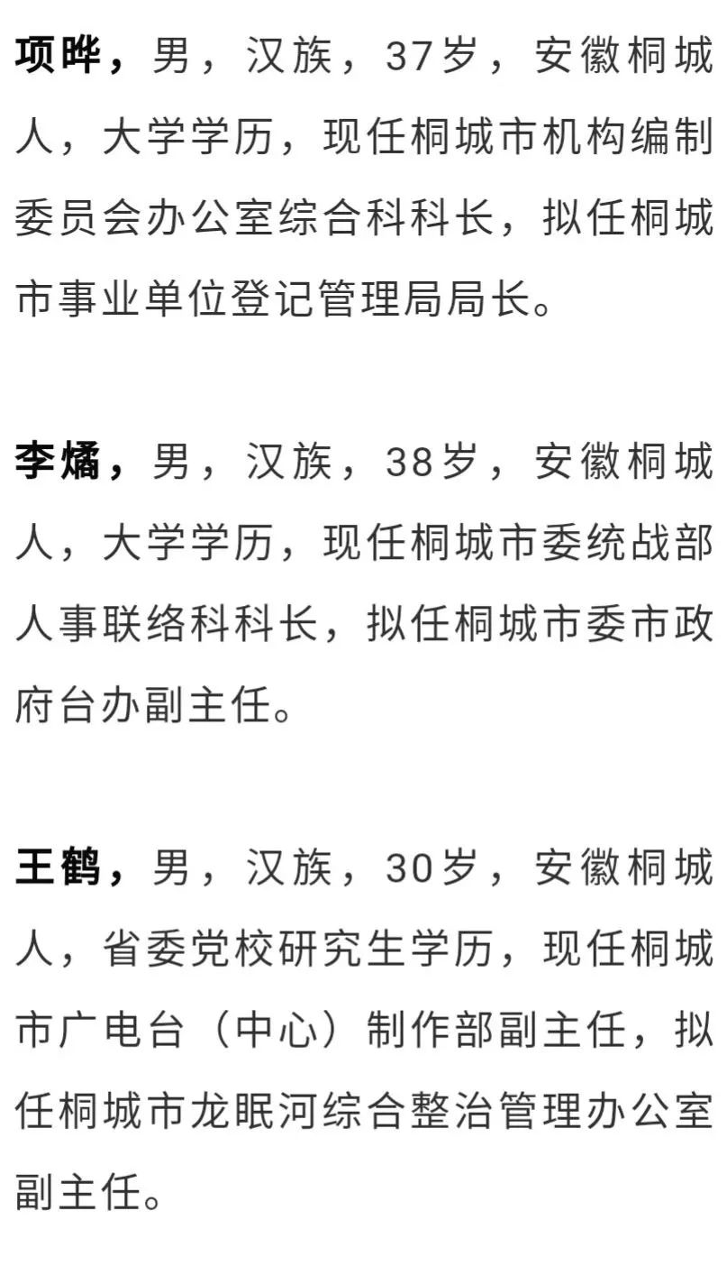 桐城最新公告，邻里间的温馨日常与爱的传递