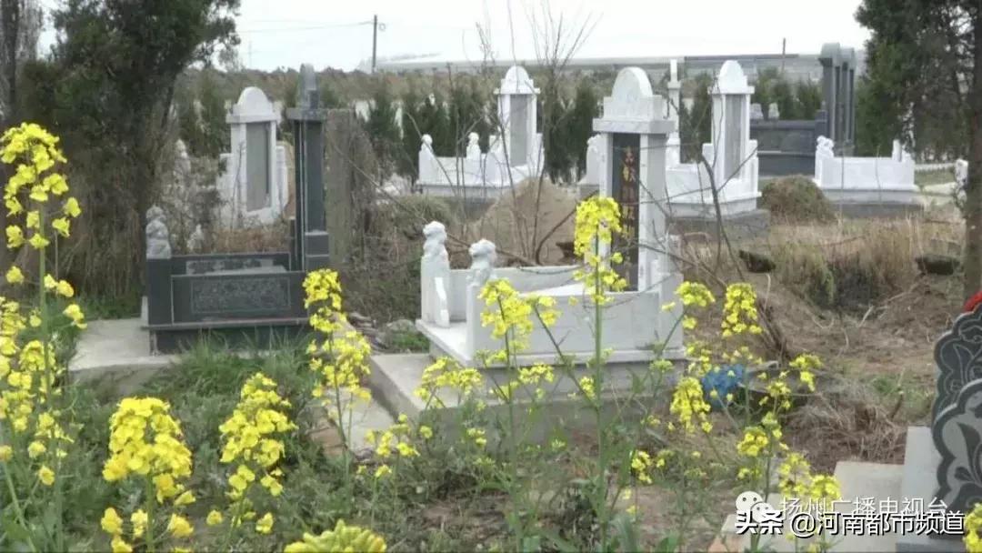 柔性石墨布 第18页